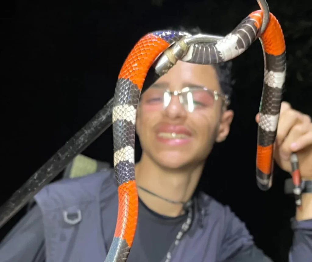 Davi Da Fauna resgata animais silvestres e usa redes sociais para desmistificar répteis em PE