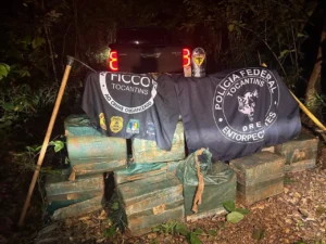 FICCO apreende quase 500 kg de cocaína escondidos em carga de abacaxi na BR-153, em Tabocão