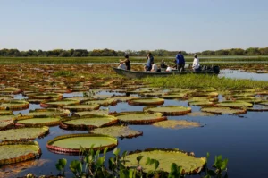 Parceria integra tecnologia e qualificação para ampliar turismo em Mato Grosso do Sul