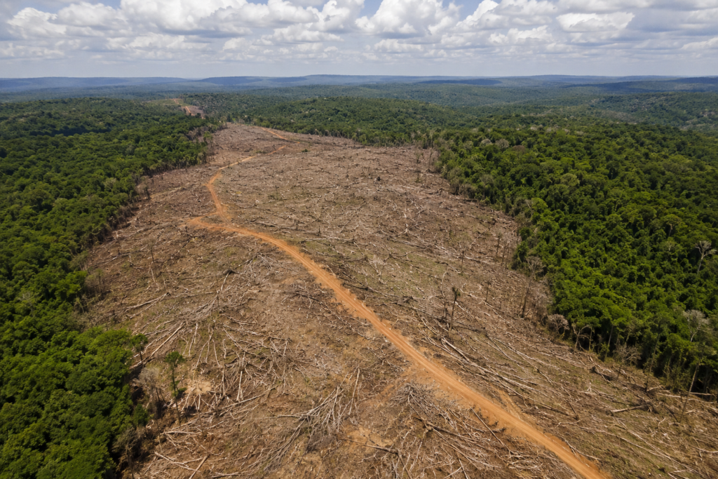 Queda do desmatamento anima governo, mas Cerrado mantém alerta e coloca Tocantins no centro do desafio ambiental brasileiro