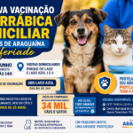 Feriado vira oportunidade para vacinar pets: Araguaína intensifica combate à raiva com visitas casa a casa