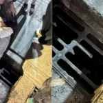 Fã corre para alcançar Harry Styles, é atropelada diante do cantor e passeio termina em tensão