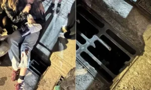 Fã corre para alcançar Harry Styles, é atropelada diante do cantor e passeio termina em tensão