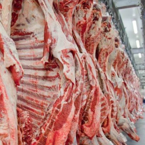 Brasil suspende temporariamente exportação da carne bovina para a China devido ao surgimento de dois casos da doença da vaca louca