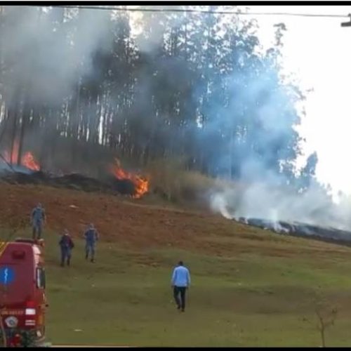 Empresário que investe em negócios rurais no Tocantins, morre com a família em trágico acidente