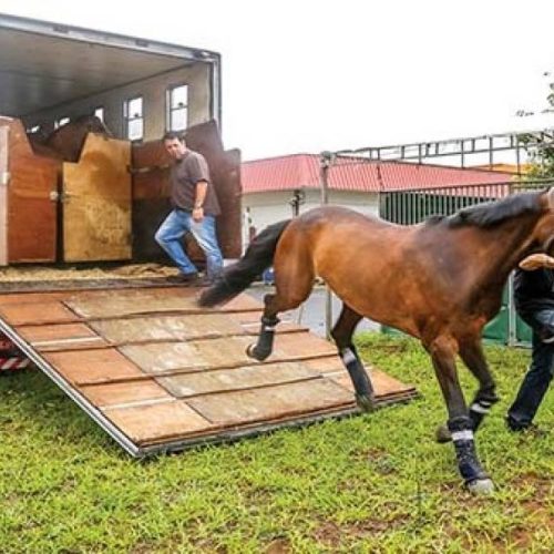 Cleiton comemora a instituição do Passaporte Equestre no Tocantins e explica benefícios