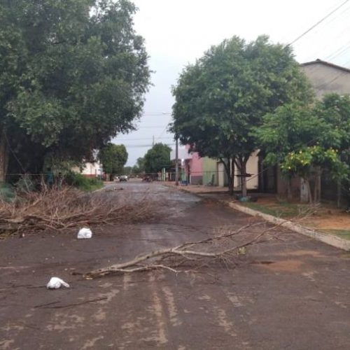 Em Colinas: ventania atinge 25 km/h, espalha poeira, derruba árvores e deixa fios de alta tensão no chão