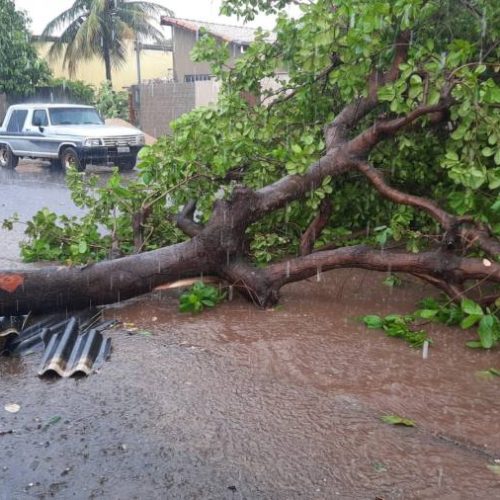 Clima agrava e traz prejuízos a moradores de Colinas; Rajada de vento chega a 50 km/h, diz Inmet