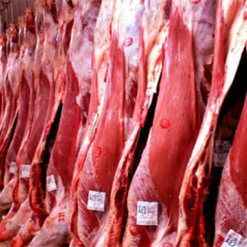 Pressão nas exportações de carne bovina para a China afeta as negociações no Tocantins