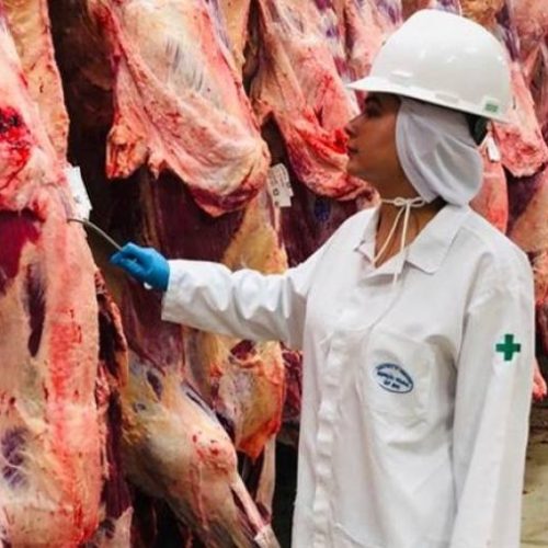 Rússia enviará comitiva para inspecionar frigoríficos brasileiros com o objetivo de abrir mercado para a exportação da carne bovina e suína