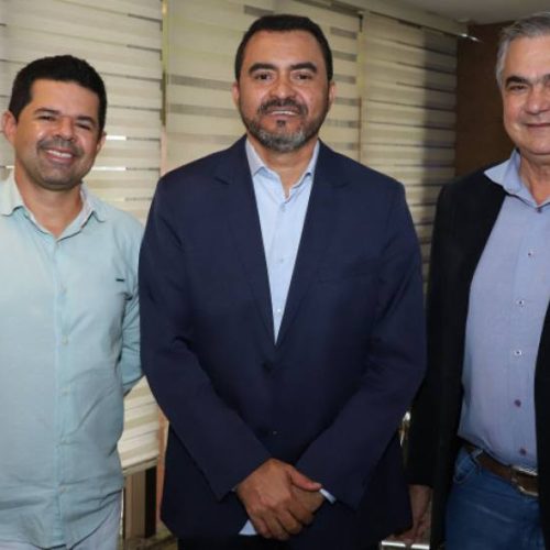 Em encontro com a Faet, governador Wanderlei Barbosa garante apoio Ã s feiras agropecuárias presenciais que serão realizadas no Estado em 2022