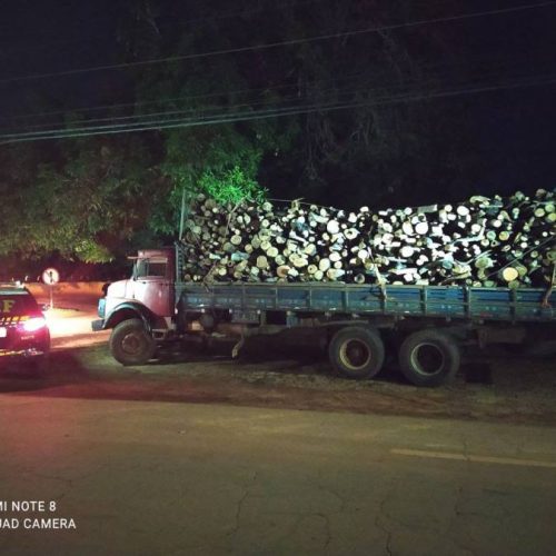 Caminhão que transportava madeira ilegal no Tocantins é apreendido