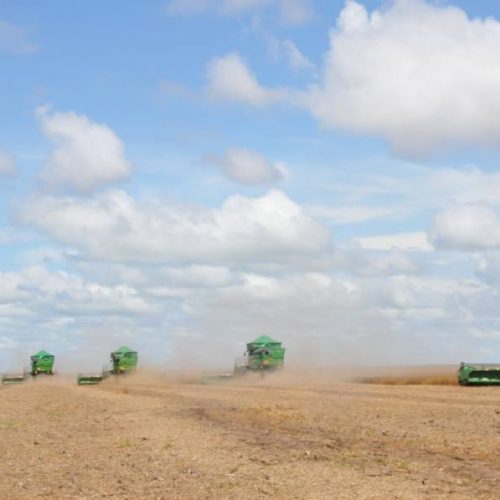 Valor da Produção Agropecuária de 2021 atinge R$ 1,129 trilhão no Brasil; Estado do Tocantins registra R$18,8 bilhões e se coloca no 10Âº lugar