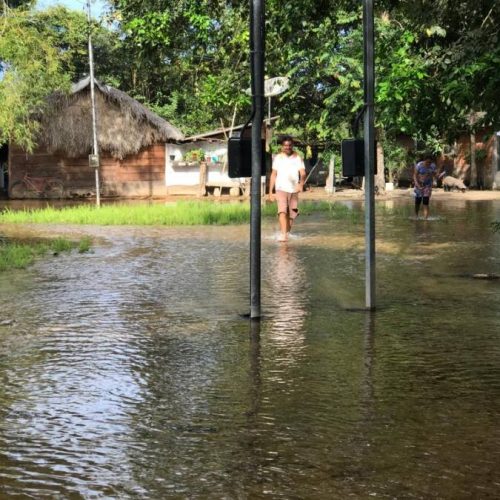 Indígenas da Aldeia Takaywrá reclamam da falta de assistÃªncia em meio a enchentes na região do rio formoso