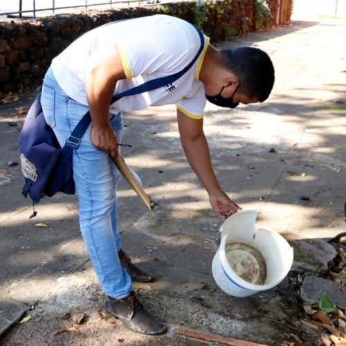 Ações de combate ao mosquito da dengue iniciam em Gurupi