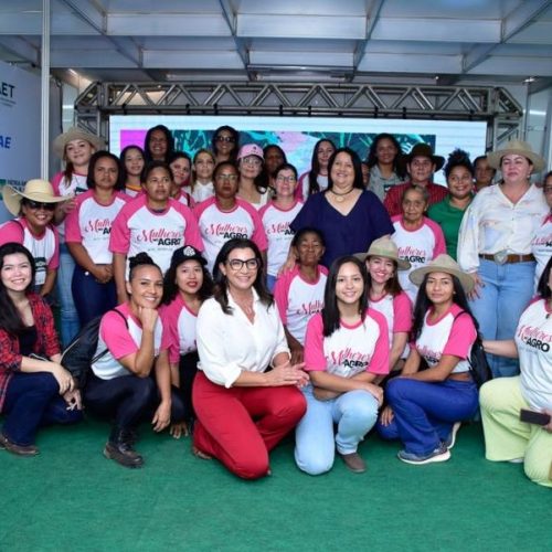 Na Agrotins, Sebrae participa de debate sobre mulheres no agronegócio