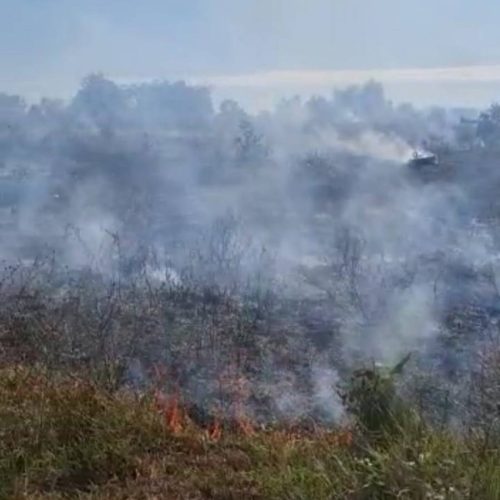 Fiação pega fogo em poste e atinge fazenda em Araguaína e proprietária conta como aconteceu