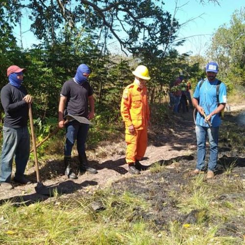 Em Colinas, Defesa Civil intensifica ações de combate e prevenção contra o fogo