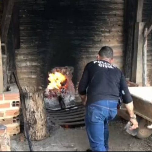 Polícia Civil erradica mais de 200 kg de pasta base de cocaína em Araguatins