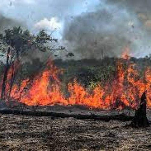 Tenente da defesa Civil do Estado alerta para potencial de queimadas durante os próximos meses