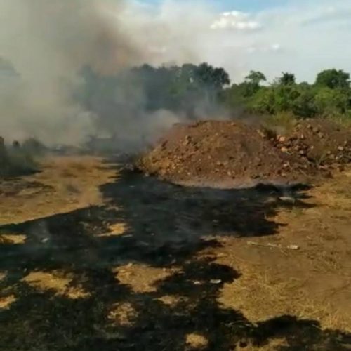 IncÃªndio em vegetação em Novo Olinda chega próximo a residÃªncias; vídeo