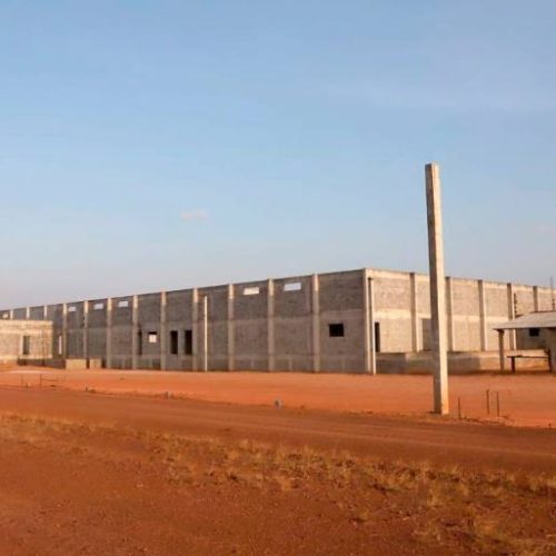 Com regularização fundiária, Tocantins fomenta avicultura em Angico para gerar 200 empregos diretos