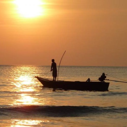 Piracema começa nesta terça-feira, 1Âº de novembro; pesca é proibida até 28 de fevereiro