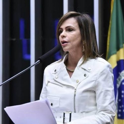 Professora Dorinha indica R$ 6 milhões em emenda prioritária para AssistÃªncia Social tocantinense