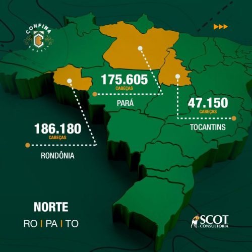 Boi Gordo: mapeamento da pecuária de corte intensiva no Tocantins