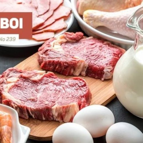 Proteínas alternativas: um termo já ultrapassado? saiba mais