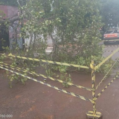 Chuva causa estragos durante fim de semana em Colinas