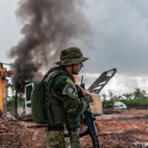 STF derruba lei que proibia destruir bens apreendidos em ações ambientais