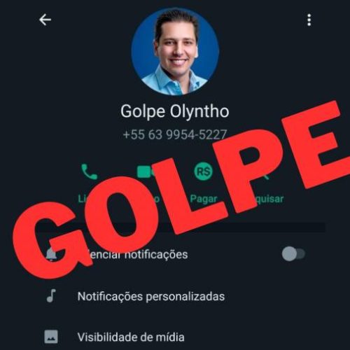 Golpistas criam perfil no WhatsApp se passando pelo deputado estadual Olyntho Neto