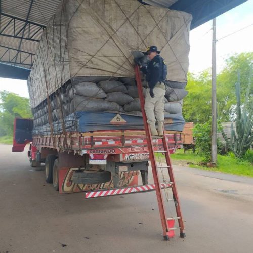 PRF flagra caminhão transportando carvão de forma ilegal em Guaraí