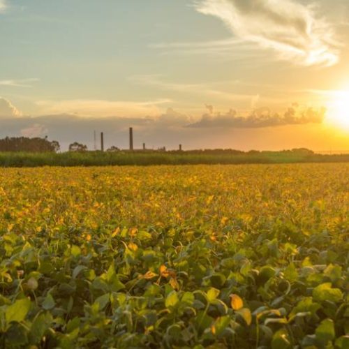 Previsão do tempo indica diminuição de chuvas e aumento da temperatura nas principais cidades do Tocantins; confira