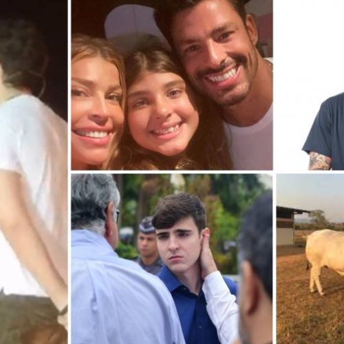 Casal assumido, Ex-BBB revela vida de solteiro, Herança em jogo e muito mais; confira o Hora da Fama desta semana