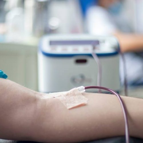 No Tocantins, mais de 22 mil doações de sangue foram realizadas em 2022