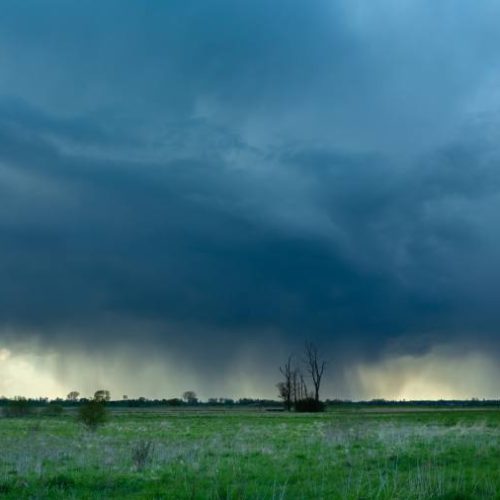 Prognóstico climático para a Agricultura e previsão de chuva no Norte