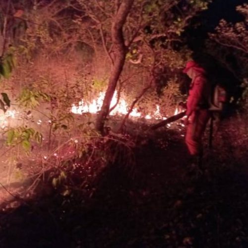 Força-tarefa do CBMTO e Defesa Civil Estadual controla incÃªndio que atingiu 35 mil hectares