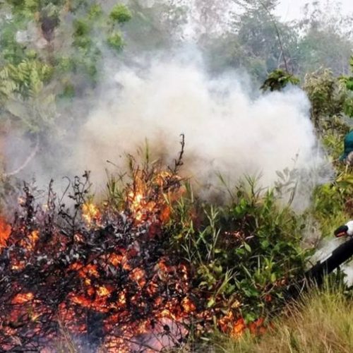 De 3Âº para 6Âº, Tocantins cai trÃªs posições no ranking nacional de queimadas