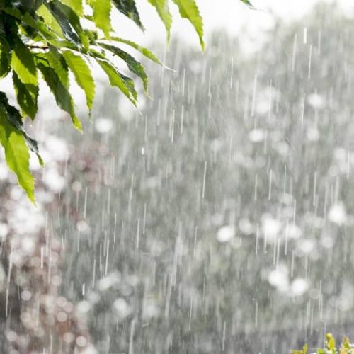 Feriado e fim de semana com chuva; confira a previsão completa em Palmas, Gurupi, Colinas e Araguaína