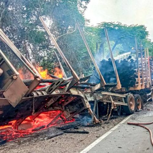 Na BR-153, bombeiros militares combatem chamas em carreta com eucalipto