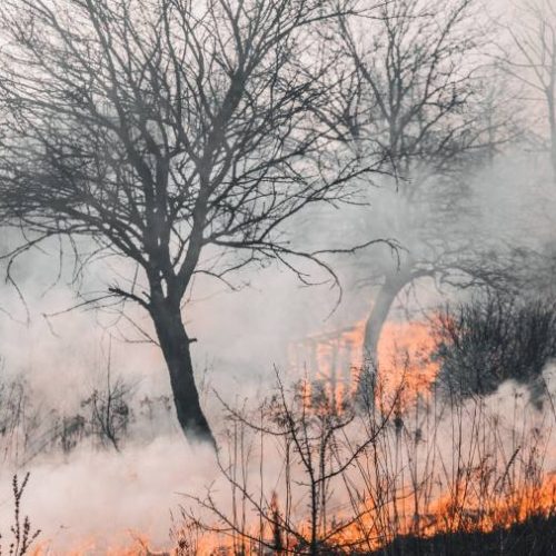 Números de focos de incÃªndios registrados em outubro na Amazônia superam em 34% média histórica