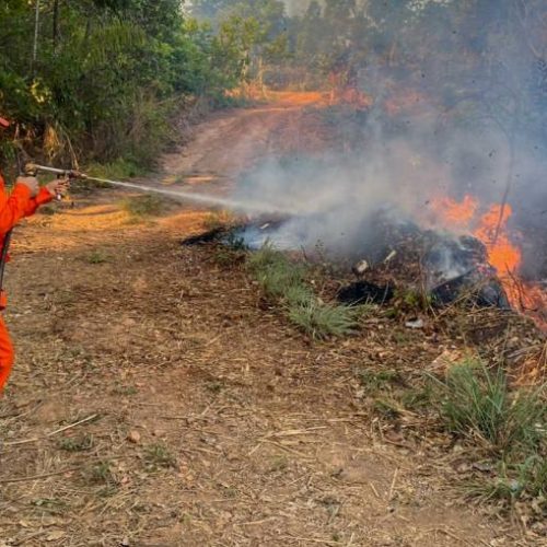 Tocantins reduz 40% da área queimada, 25% dos focos de calor e cai para a sétima posição no ranking nacional