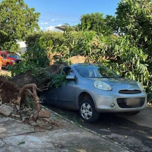 Chuva forte causa transtornos e deixa rastro de destruição em Palmas; veja imagens