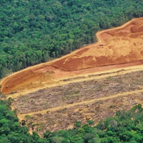 Tocantins e Maranhão lideram ranking de desmatamento no Cerrado, diz relatório do INPE;