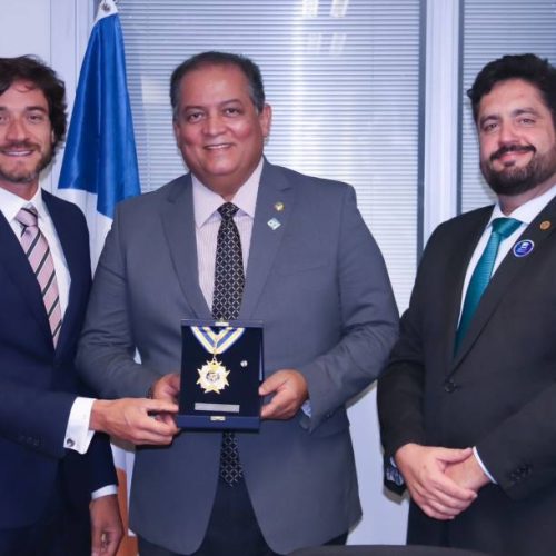 Senador Eduardo Gomes recebe medalha de 40 anos da ANAP