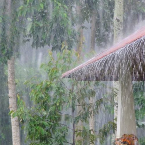 Semana será de chuva; confira a previsão completa do tempo em Palmas, Gurupi, Colinas e Araguaína