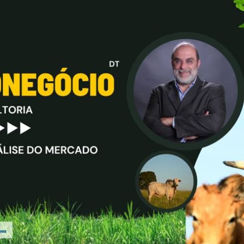 Mercado do Boi Gordo no Tocantins: análise do primeiro mÃªs do ano por Alcides Torres