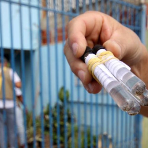 Vacina contra dengue no SUS: governo define 14 municípios tocantinenses que vão receber doses; veja lista